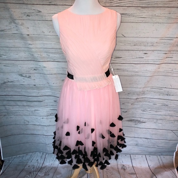 TS Couture new pink and black chiffon dress sz 2 - Picture 1 of 8